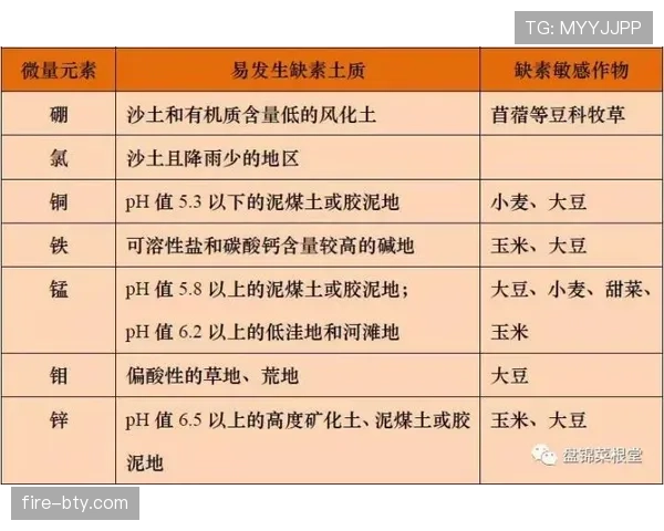 五秒违例规则详解：判定标准与适用场景